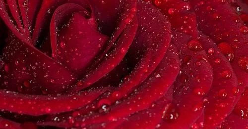 Tantric massage London